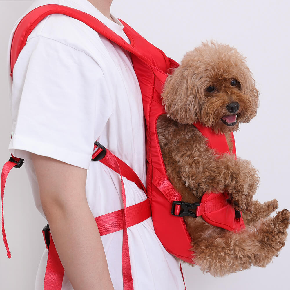 Ergonomic dog carrier backpack, ideal for small dogs on hikes, adjustable and comfortable