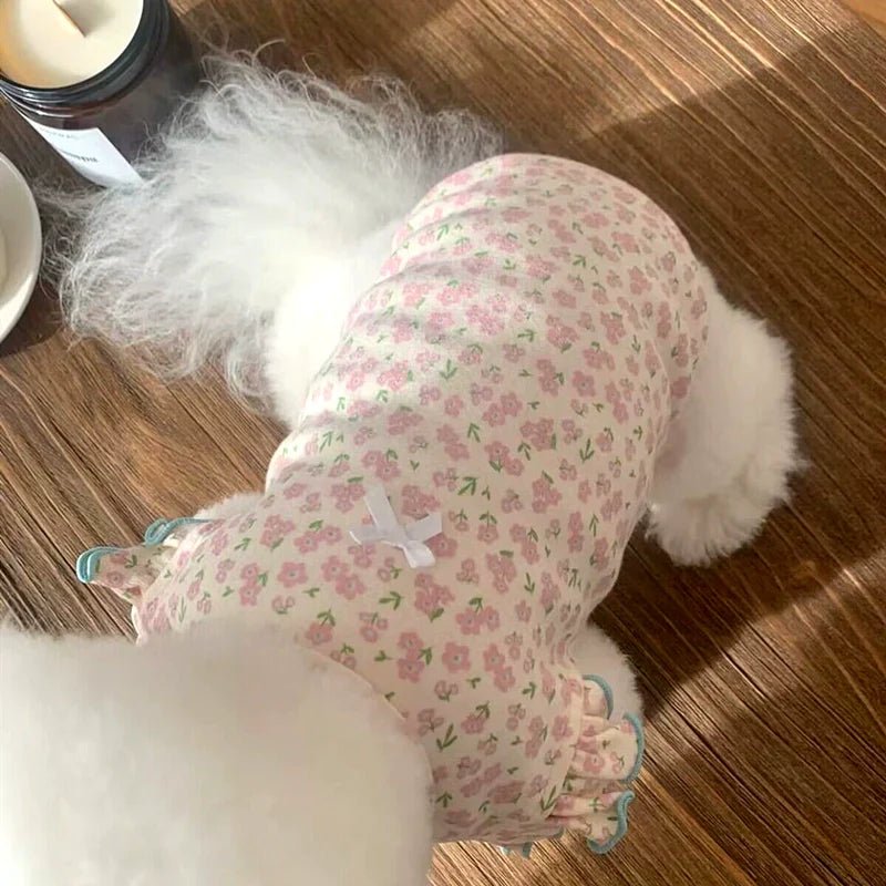 Small dog in a charming floral vest, perfect for spring/summer pet fashion.