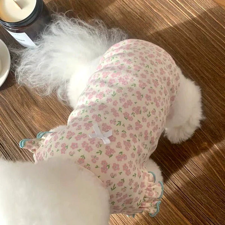 Small dog in a charming floral vest, perfect for spring/summer pet fashion.