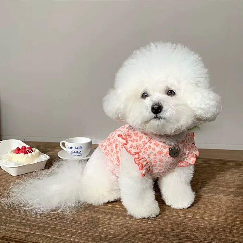 Close-up of a floral print dog vest, highlighting the comfortable fit and cute design.