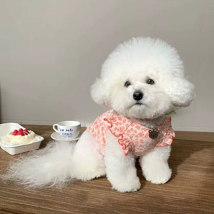 Close-up of a floral print dog vest, highlighting the comfortable fit and cute design.