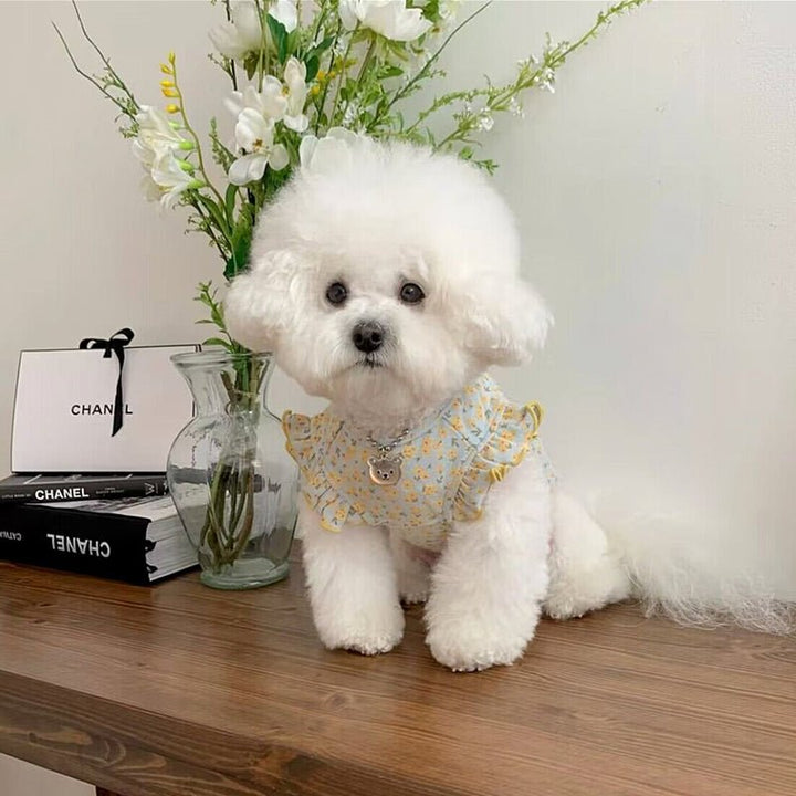 Stylish floral dog vest for small pets, featuring a breathable and comfortable fabric.