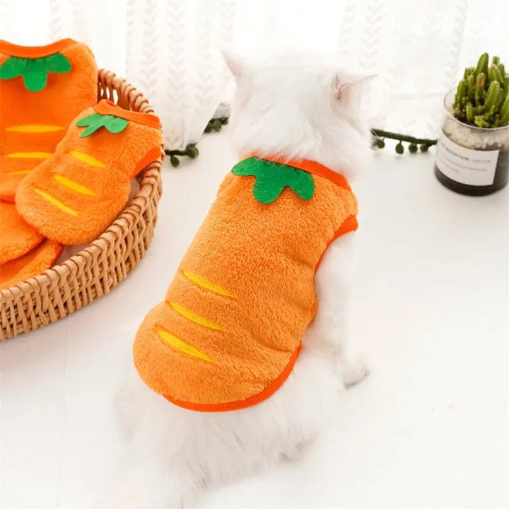 Back view of a small pet's carrot costume, showing elastic bands for a secure, cute fit