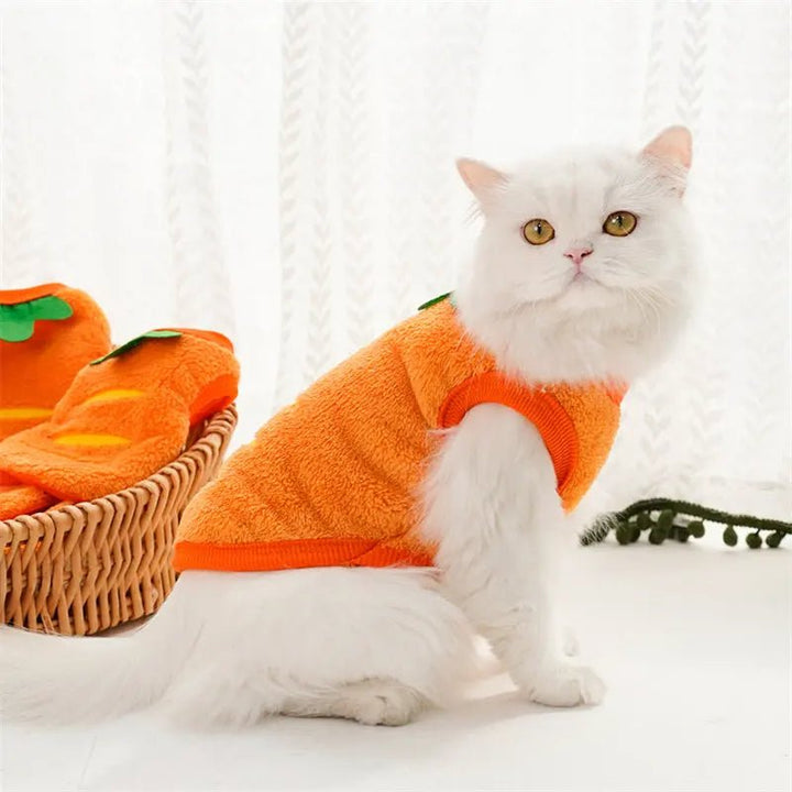 Close-up of the carrot pet costume's headpiece, green leafy detailing, cute small pet apparel