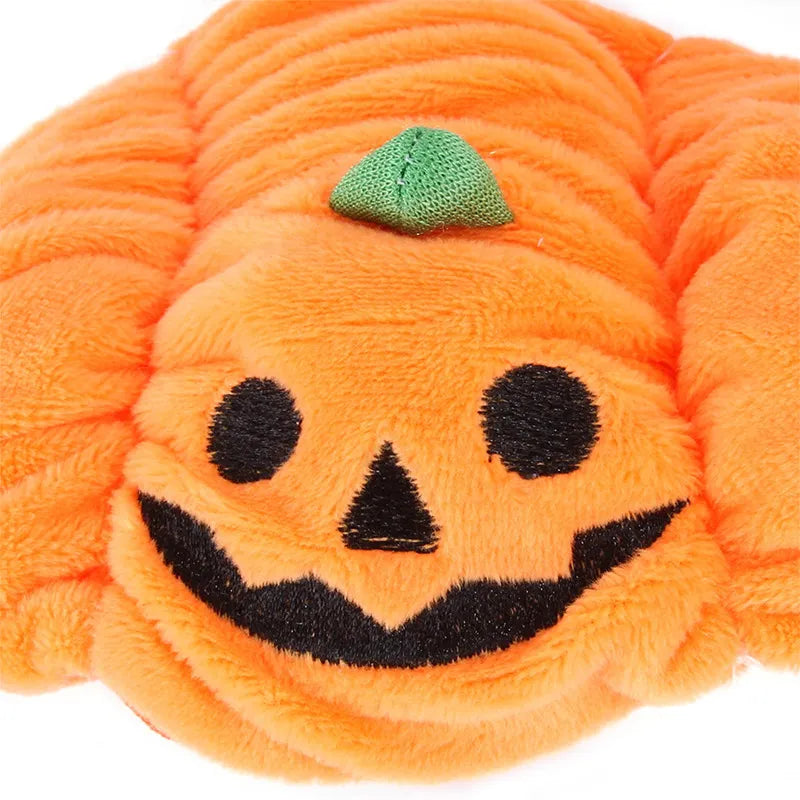 Small dog ready for Halloween in a bright pumpkin costume, festive pet gear