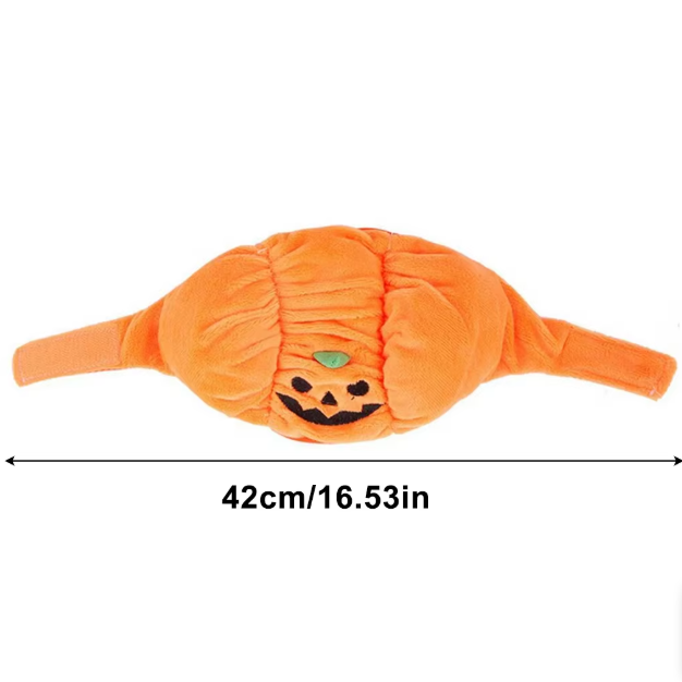 Dog looking festive in a soft pumpkin Halloween costume, pet apparel for small dogs