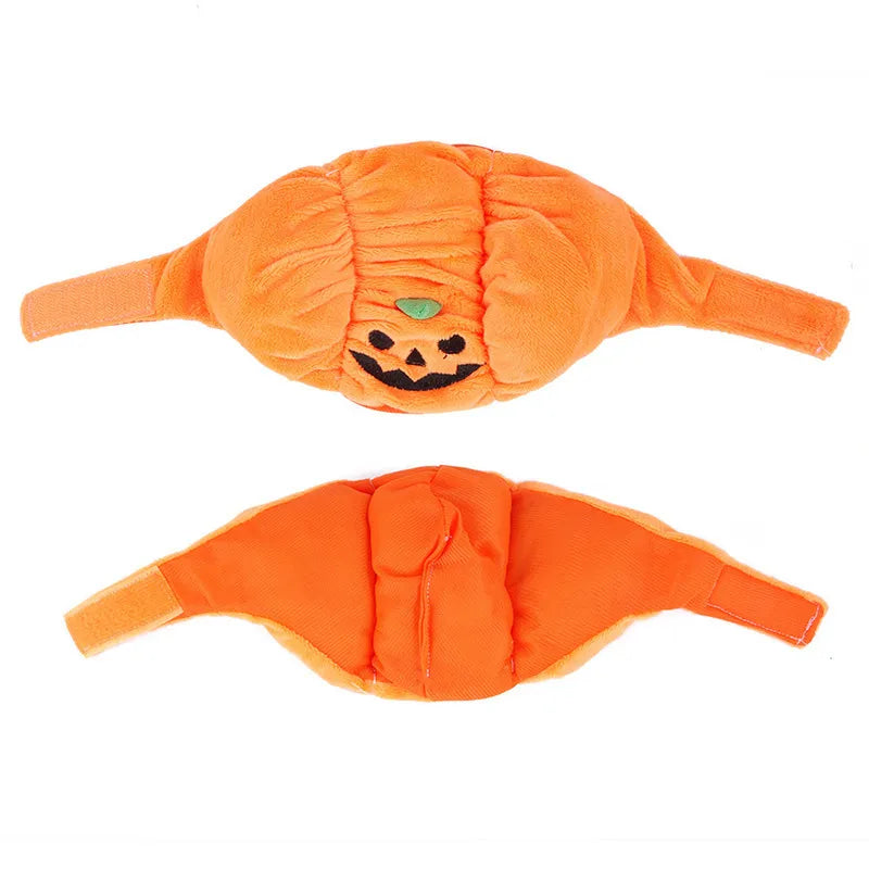 Halloween dog costume: orange pumpkin design for a happy small pet