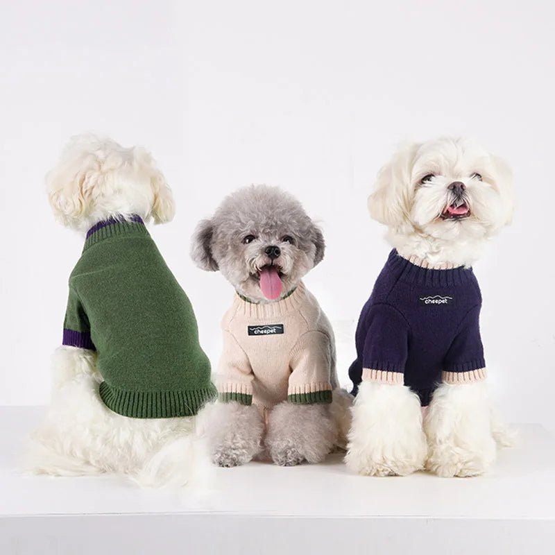 Beige dog wearing a blue cotton turtleneck sweater, comfortable pet clothing.