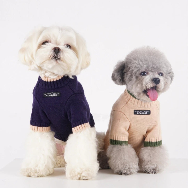 Adorable puppy in a green knit turtleneck sweater, warm dog fashion pullover.