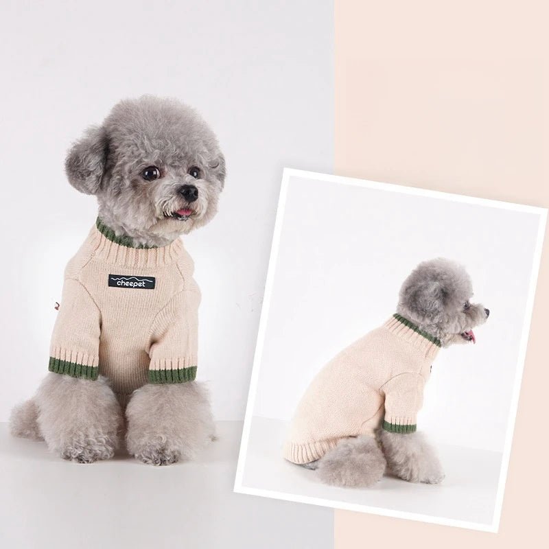 Close-up of a dog in a striped cotton turtleneck sweater, cozy winter pet wear.