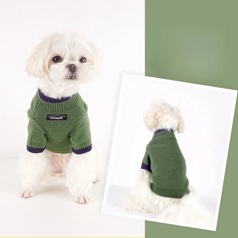 Happy dog playing outdoors in a stylish yellow cotton turtleneck sweater.