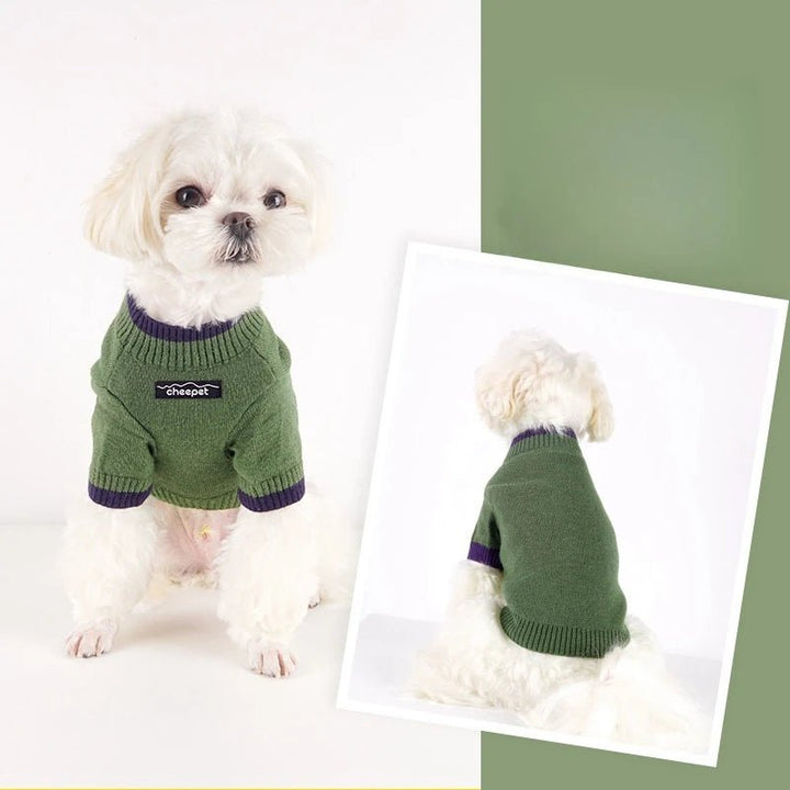 Happy dog playing outdoors in a stylish yellow cotton turtleneck sweater.