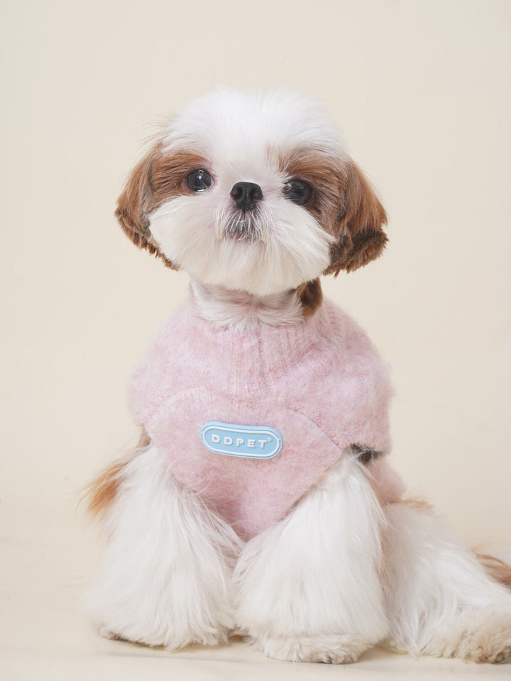 Small dog in a red high-neck knitted sweater, cozy pet apparel for warmth and style