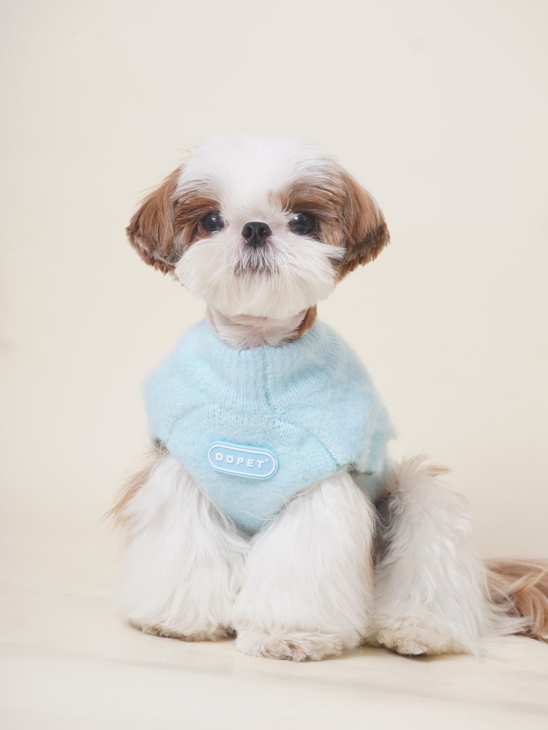 Chihuahua wearing a green high-neck knit dog sweater, stylish pet fashion, cozy apparel