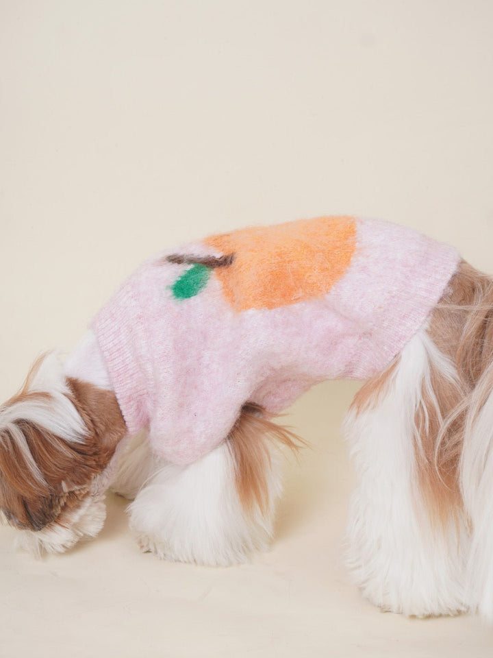 Side view of a dog in a striped high-neck knit sweater, fashionable pet clothing, warm