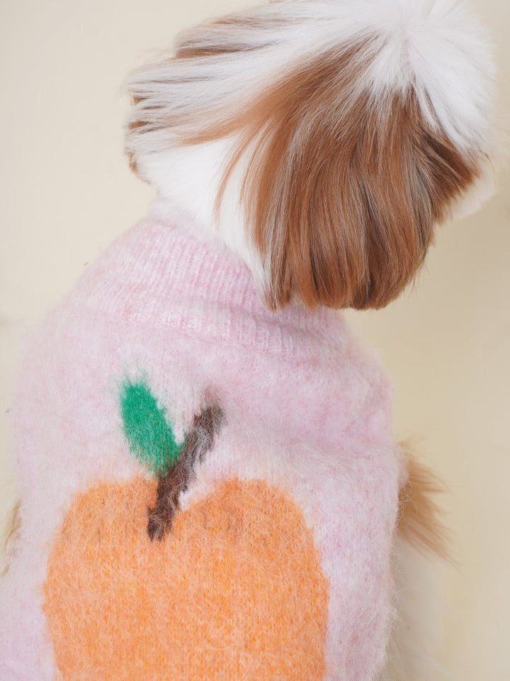 Small dog happily playing outdoors in a cozy high-neck knitted dog sweater, pet fashion