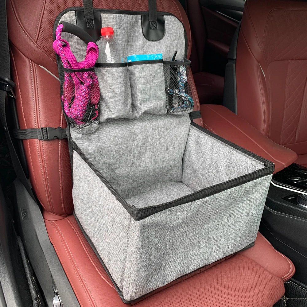 Medium-sized dog comfortably seated in an elevated car seat with good visibility