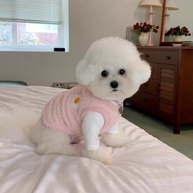 Small dog in macaron sunflower vest, cozy pet apparel, cute & warm