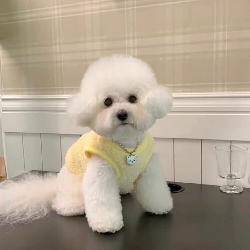 Cute pet sweater: macaron sunflower vest for medium dogs, stylish pet apparel