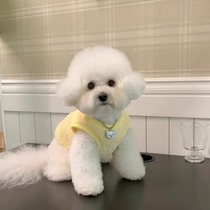 Cute pet sweater: macaron sunflower vest for medium dogs, stylish pet apparel