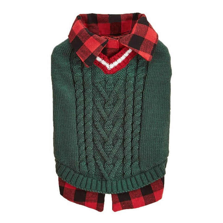 Fashionable dog in a grey cable knit sweater vest with a distinct plaid collar.