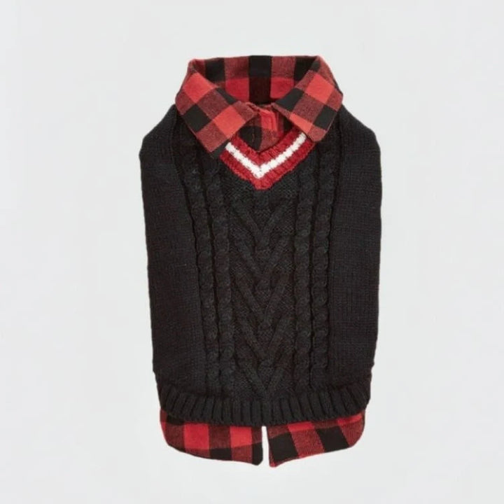 Dog enjoying a walk in a well-fitted, warm cable knit sweater vest with plaid accent.