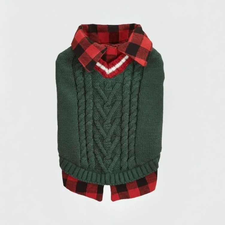 Full view of a dog looking chic in a premium cable knit sweater vest with plaid collar.