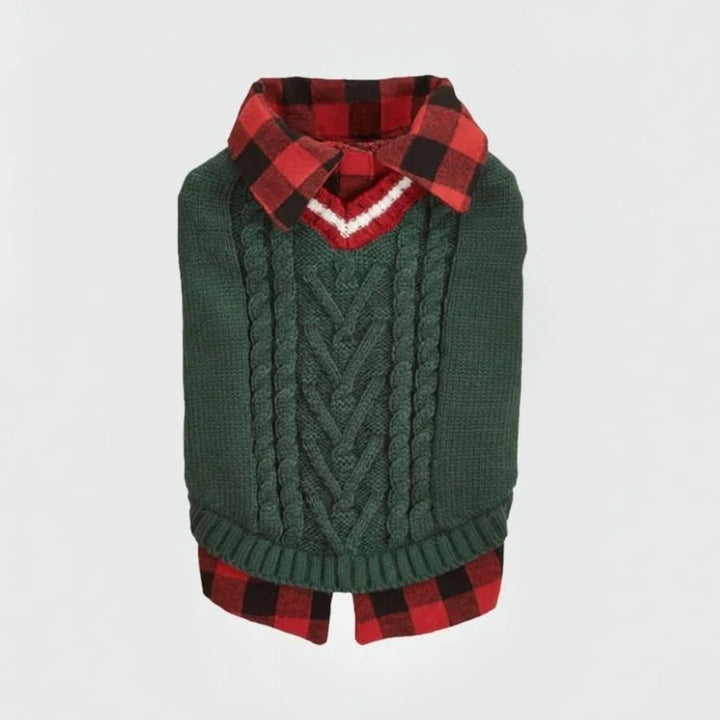 Full view of a dog looking chic in a premium cable knit sweater vest with plaid collar.