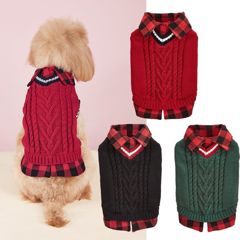 Dog sitting proudly in a green cable knit vest, perfect for fall fashion dog apparel.