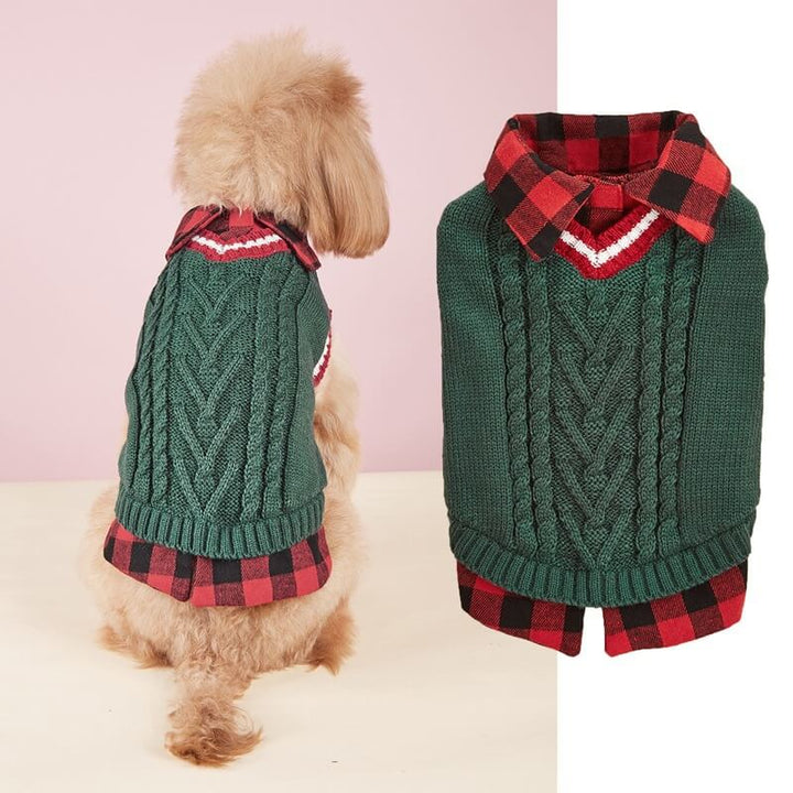 Black and white dog 모델ing a warm, knitted dog sweater vest with trendy collar.