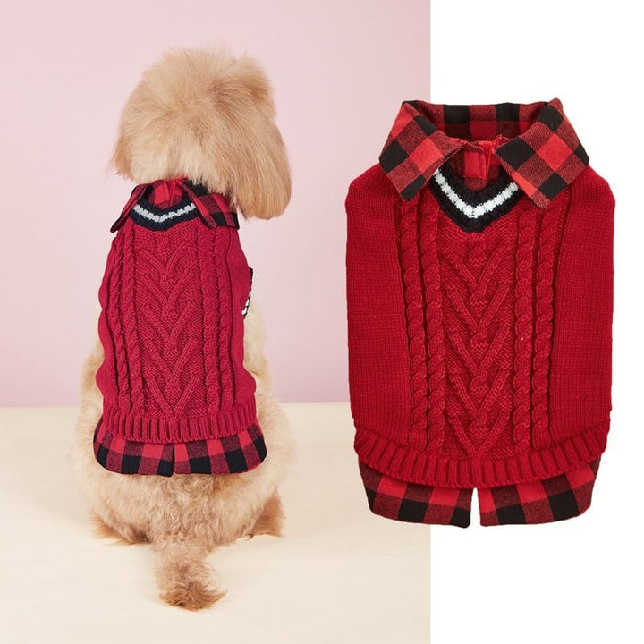 Top-down view of a dog in a purple cable knit sweater vest, cozy pet wear.