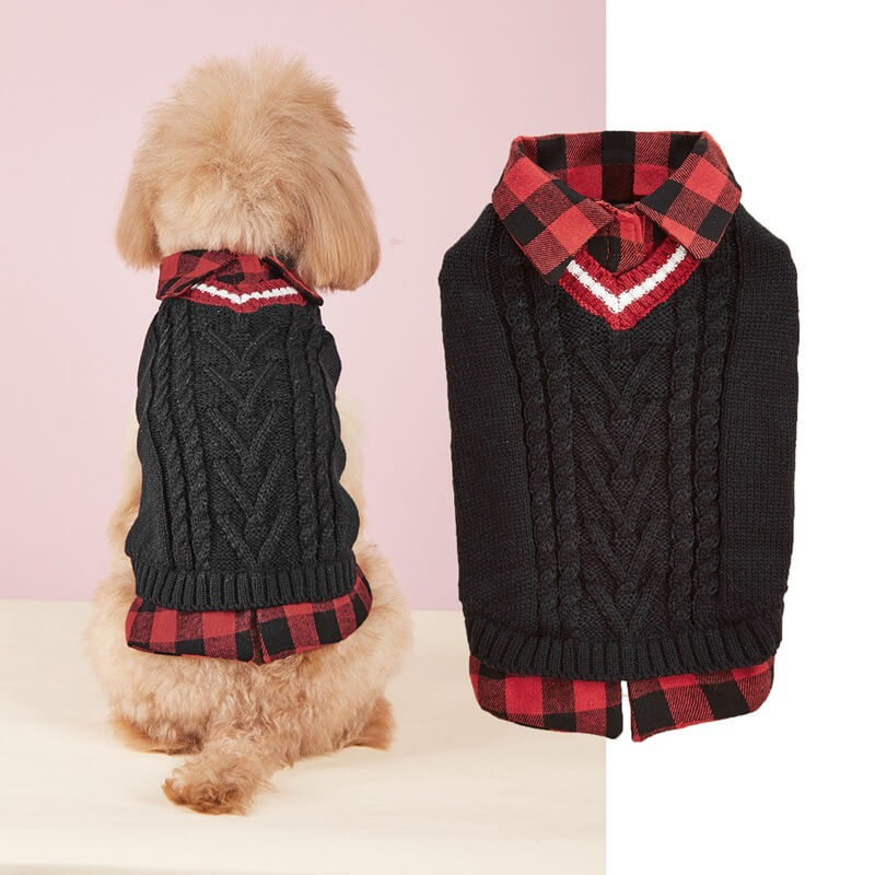 Happy dog playing outdoors in a comfortable plaid collar cable knit sweater vest.