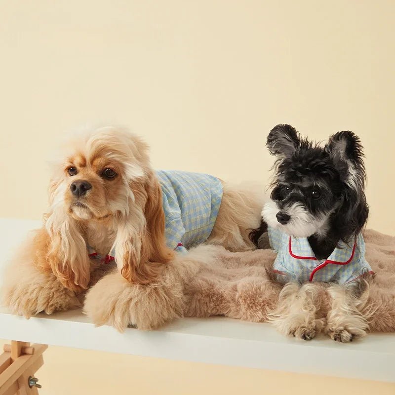 Small dog wearing comfortable green plaid cotton pajamas for lounging