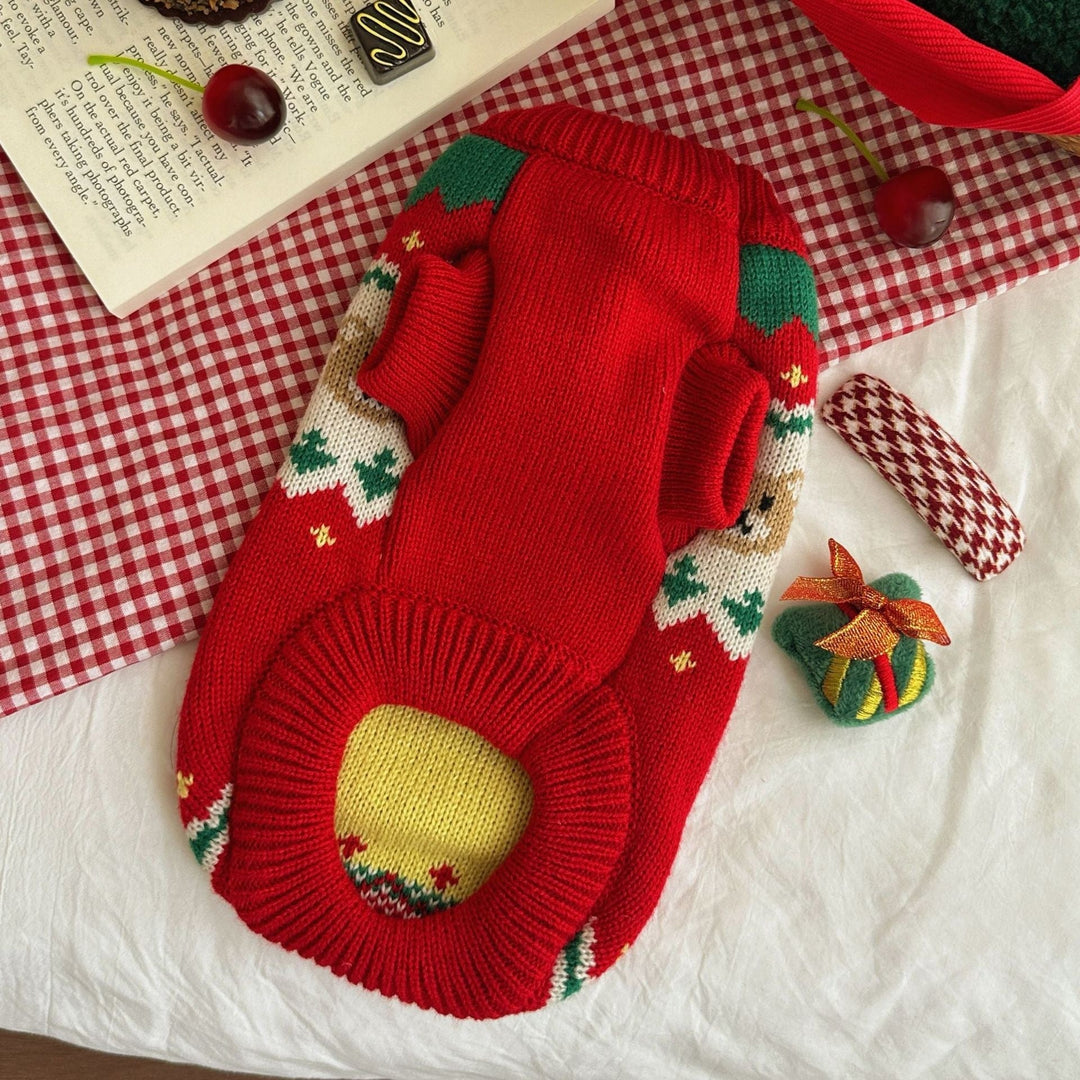Happy small dog wearing 'Cozy Pet Christmas Sweater', cozy holiday pullover on a festive background