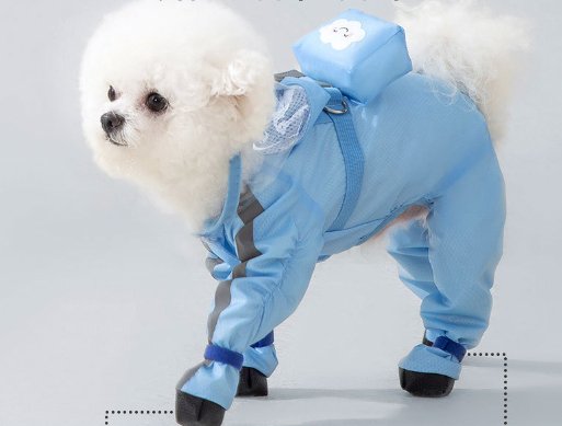 Small dog in yellow waterproof raincoat with hood, full coverage for rain protection