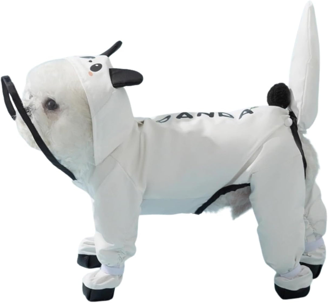 Puppy wearing a transparent pet raincoat and four waterproof dog boots on a wet street