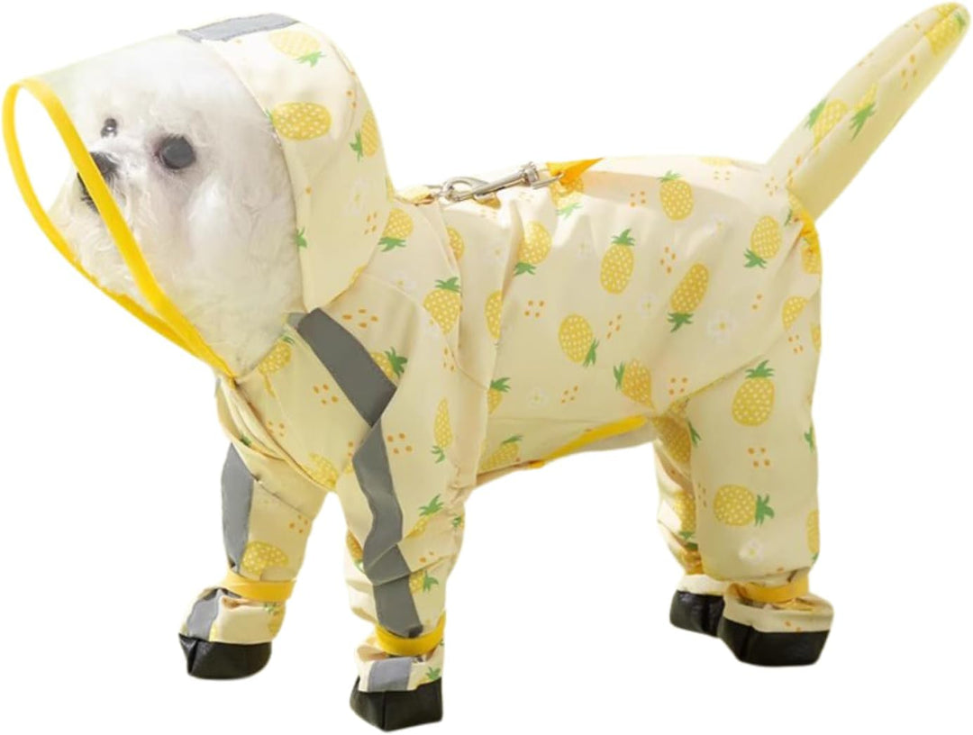 Small dog playfully shaking off water while wearing a light green puppy raincoat and booties