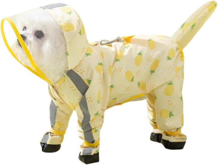 Small dog playfully shaking off water while wearing a light green puppy raincoat and booties