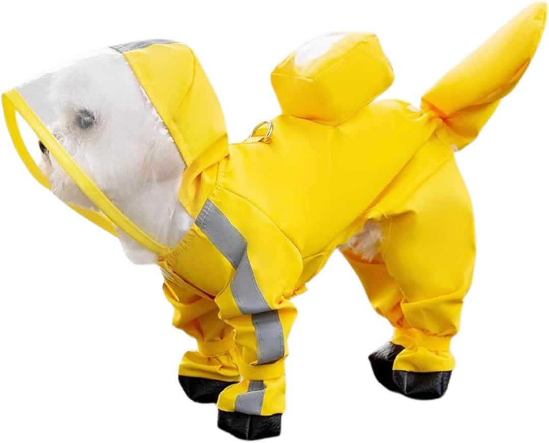 Full body shot of a small dog in complete pet protection gear: a stylish dog raincoat & dog boots