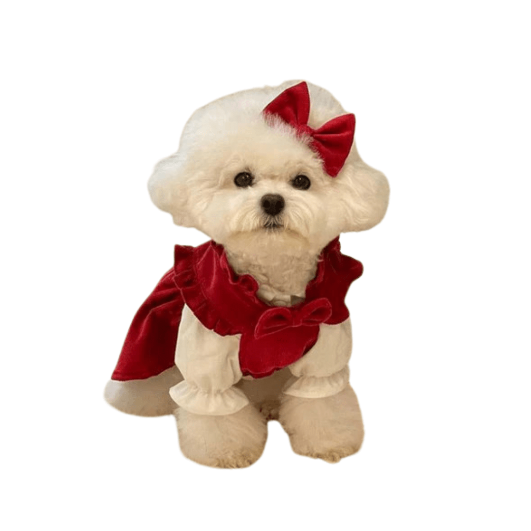 Elegant dog princess dress with a large bow, pearl details, and a layered skirt for small pets.