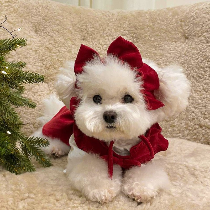 Dog princess dress modelled on a small pet, highlighting its comfortable fit and stylish design.