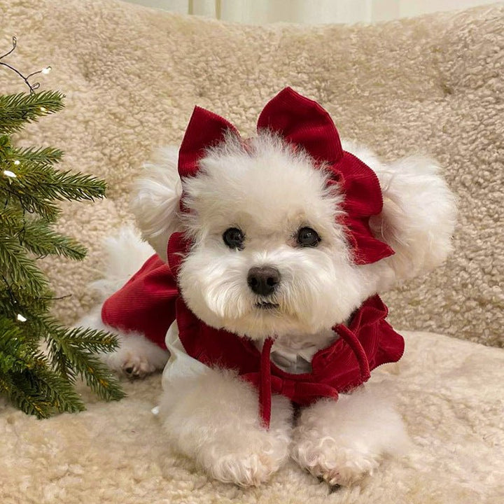 Dog princess dress modelled on a small pet, highlighting its comfortable fit and stylish design.