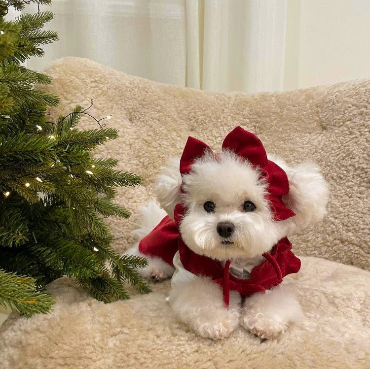 Full view of a dog princess dress set, featuring a matching collar bow for a complete pet ensemble.