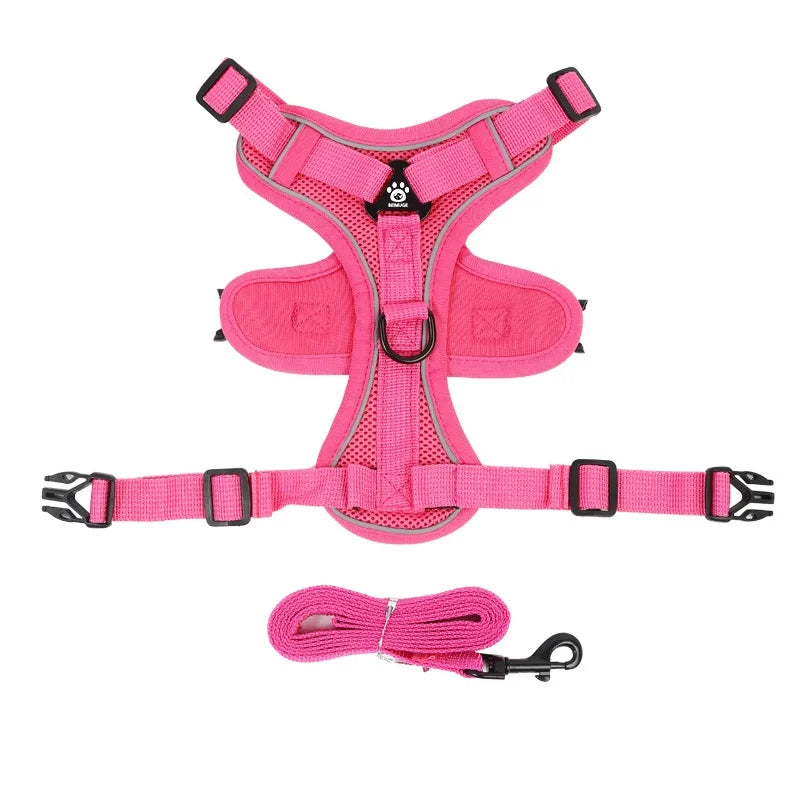 Comfortable reflective no-pull small dog harness with easy-clip leash for secure and safe pet safety.