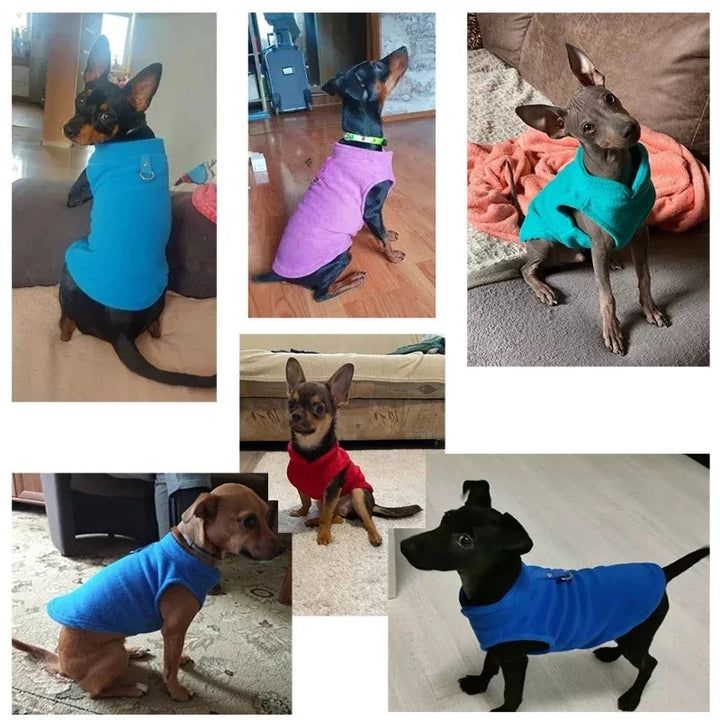 Thermal dog coat for small breeds; grey fleece with D-ring, perfect for cold weather