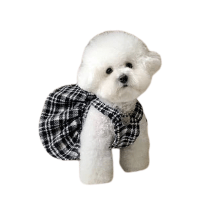 Houndstooth princess dress for small dogs, black & white pattern, elegant, winter dog clothing, pet apparel