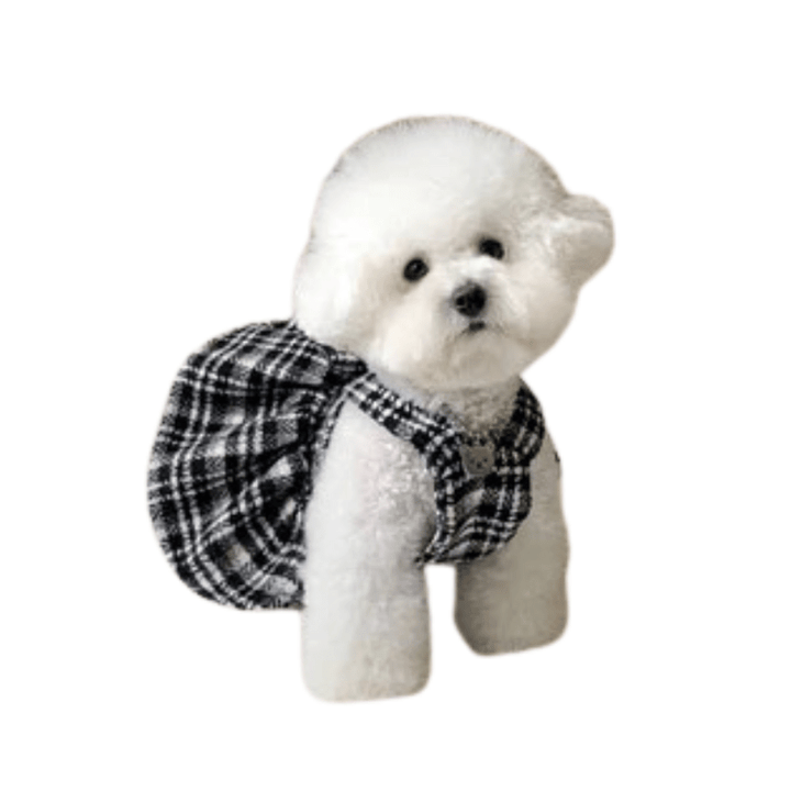 Houndstooth princess dress for small dogs, black & white pattern, elegant, winter dog clothing, pet apparel