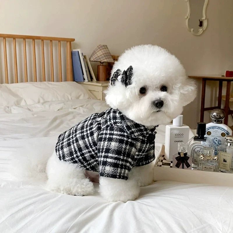 Adorable dog in a houndstooth princess dress, pet clothing, stylish autumn pet, black and white dog fashion