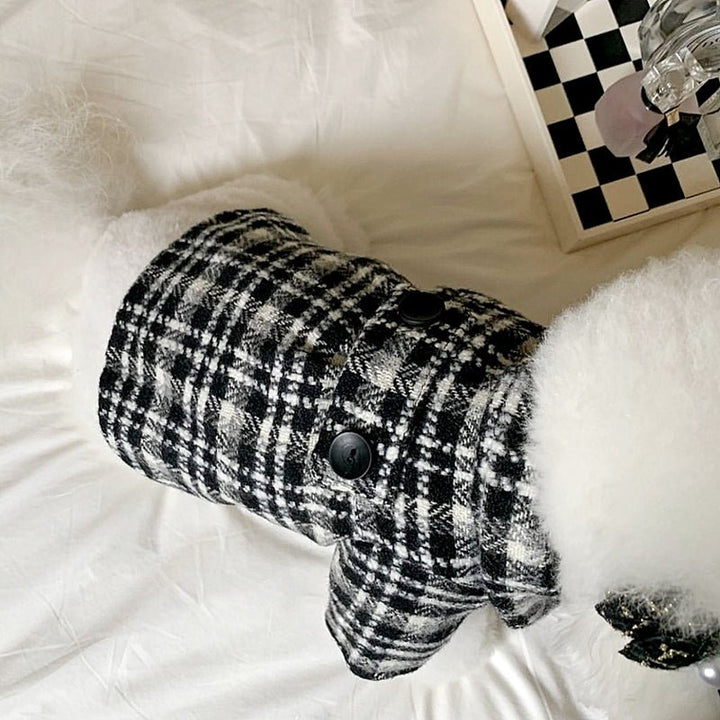 Fashionable small dog modeling a houndstooth princess dress, autumn pet fashion, elegant dog dress