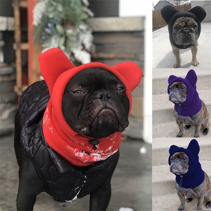 Small dog wearing a brown fleece hood with bear ears, looking cozy and cute, perfect for winter.
